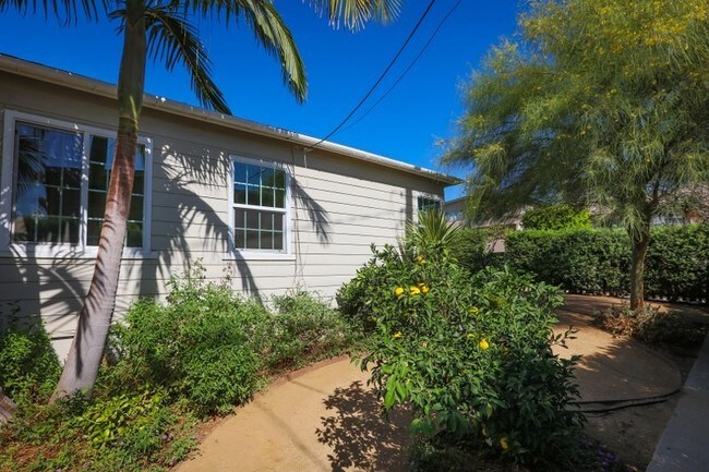 Patio lateral - 1244 Stanford St