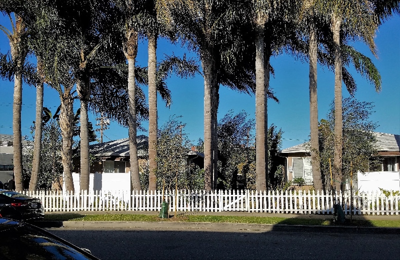 Photo - 2224 S Carmelina Ave