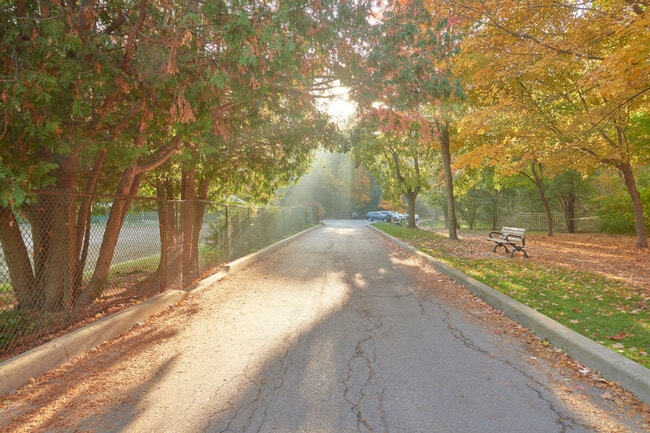 The road at Alexander Muir Memorial Gardens.