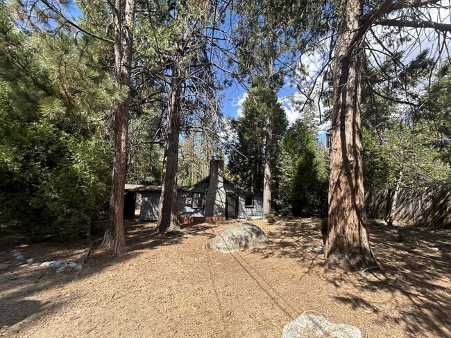 Foto del edificio - 1Bd/1Ba Cabin on .31 Acres for Rent Near Town
