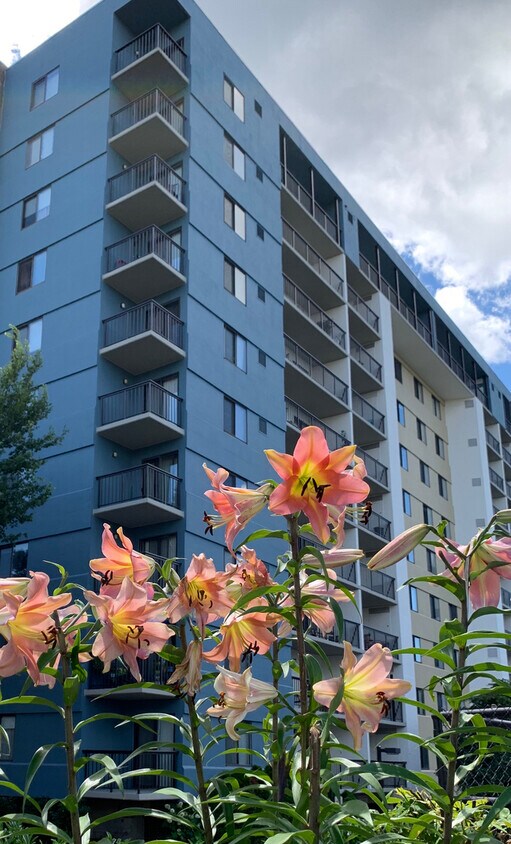 Plaza junto al lago - 3800 Powell Ln