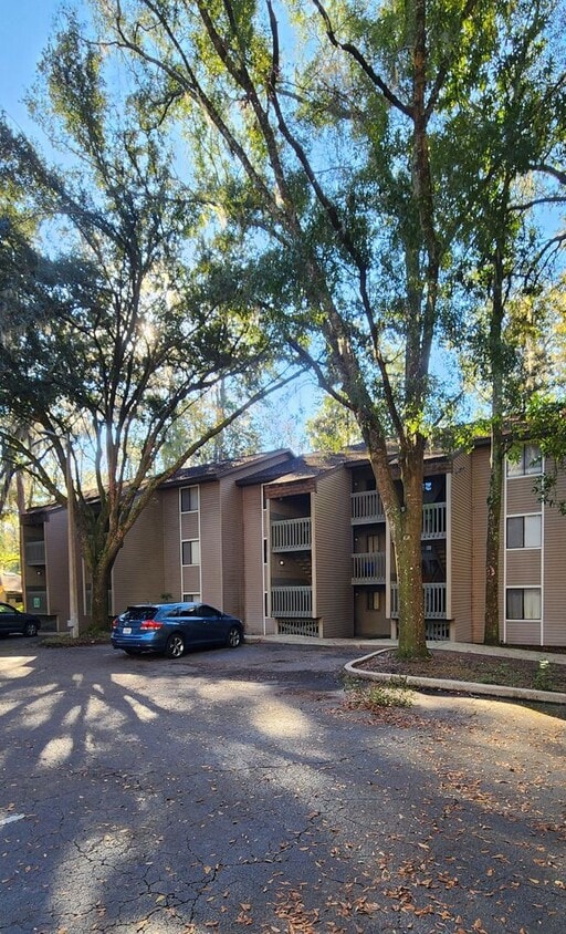2 bedroom/2 bath condo in Treehouse Village - 2 bedroom/2 bath condo in Treehouse Village