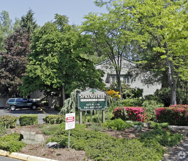 Foto del edificio - Springtree Apartments