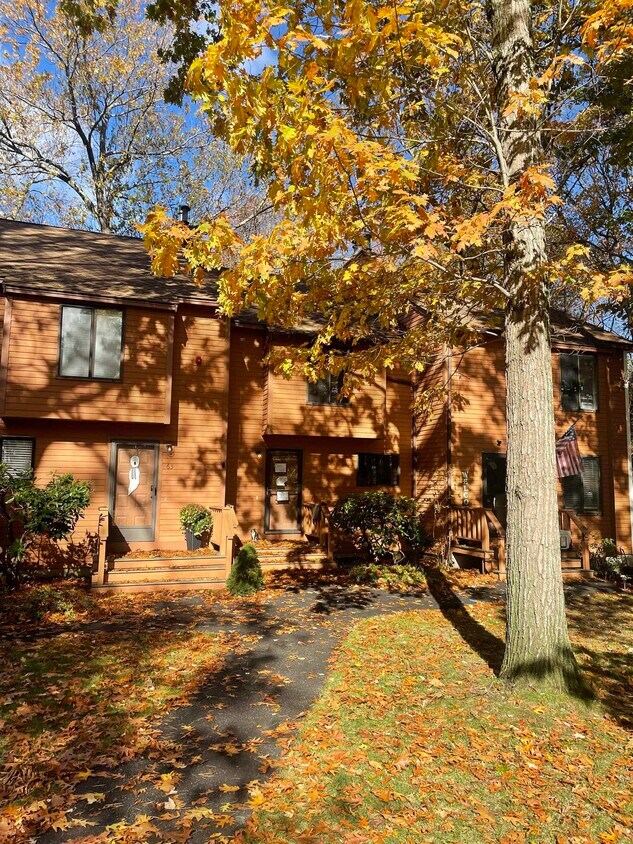 Foto principal - 64 Dunvegan Wds Dr