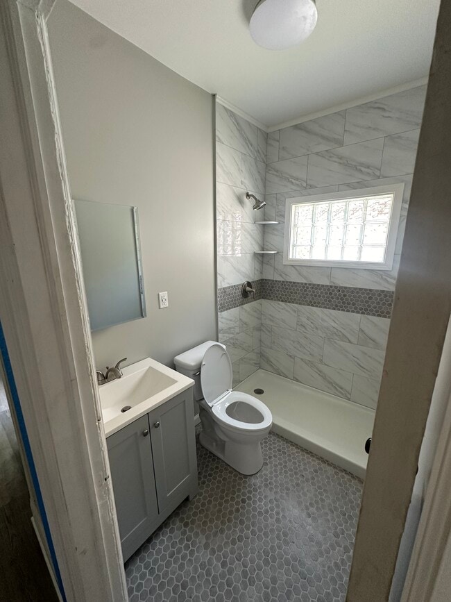 New Bathroom - 169 Anderson Pl