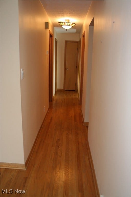 Building Photo - 300 Calvin Dr