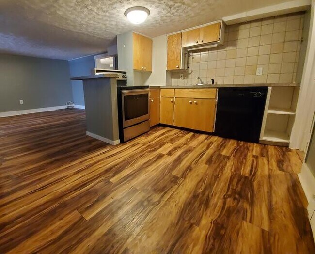 Beautiful basement Condo Condo for Rent in Omaha, NE