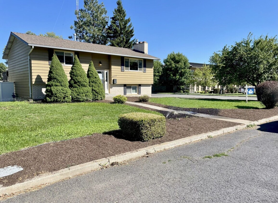 Primary Photo - Versatile 4BR/2BA Split-Level South Hill H...