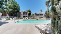 This community features a generously sized outdoor swimming pool serving as the centerpiece of the shared amenity space. The pool displays clear turquoise water and is surrounded by a wide concrete deck furnished with multiple lounge chairs, providing ample space for sunbathing and relaxation. A white metal fence encloses the pool area, offering both safety and a defined boundary between the pool deck and the surrounding landscaping.

The residential buildings framing the pool area are two-story stucco structures with pitched rooflines and a neutral tan exterior. Upper-level units feature private balconies with railings, while ground-floor units open to grassy areas and walkways. The architecture is characteristic of a warm-climate residential community, designed for outdoor living.

The landscape includes a striking mix of tall palm trees and large mature shade trees that line the perimeter, providing natural canopy and visual contrast against the consistently sunny, clear blue sky. The combination of lush greenery, open pool space, and well-maintained building exteriors creates an inviting, resort-like atmosphere well-suited to a warm, desert environment.