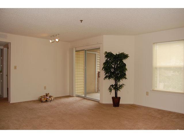 Living Room - Oglethorpe Place