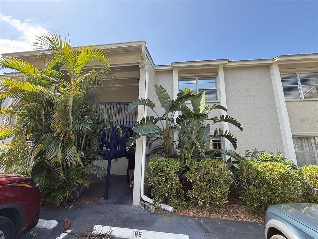 Primary Photo - 306 S Habana Ave