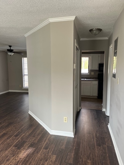 Building Photo - 419 Oakland Rd