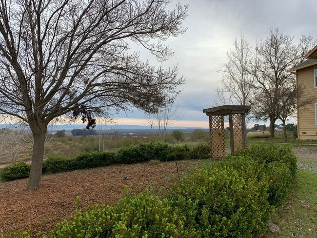 Building Photo - Country Hilltop Beauty