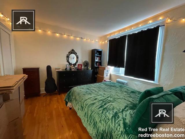Building Photo - 2 bedroom in Brighton MA 02135