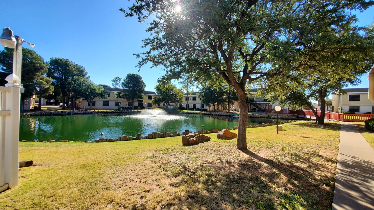 Gran laguna con patos y Fish - Silver Creek Apartments