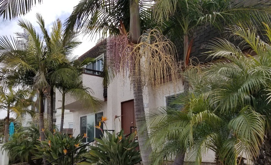 FRONT OF 4PLEX, 314 20TH ST - 314 20th St