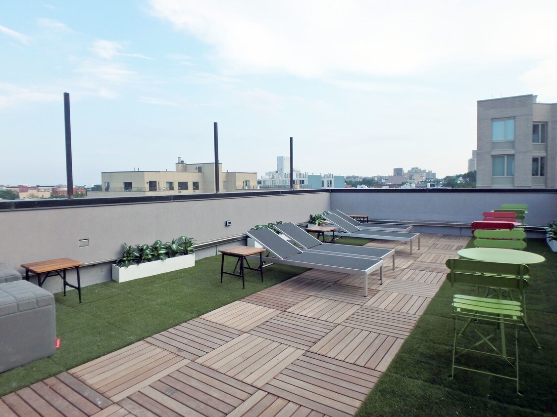 916 Bergen St Brooklyn Ny 11238 Apartments Brooklyn Ny Apartments Com