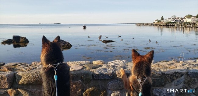 Building Photo - 117 Water St