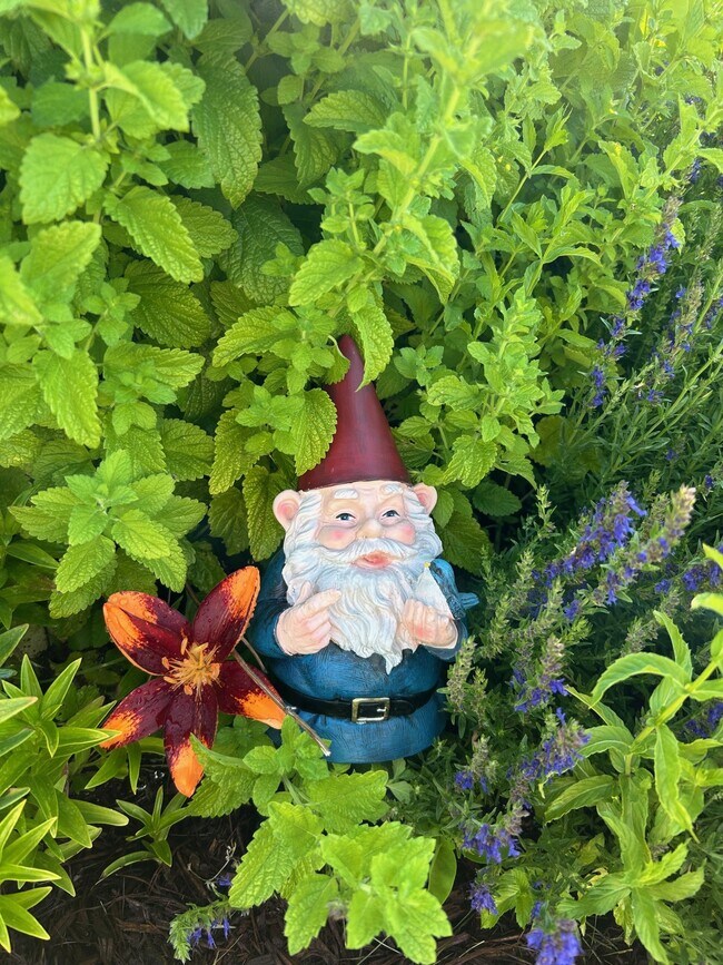 Foto del edificio - Madison