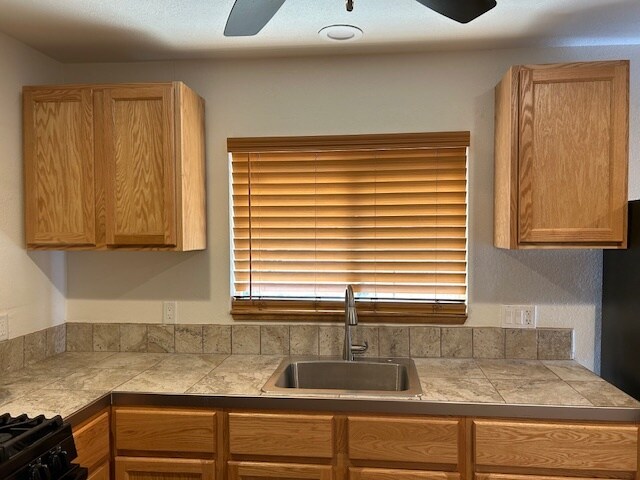 Kitchen Counter/Sink - 2367 Ridge Rd