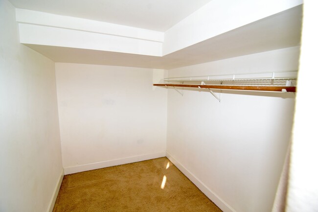 Foto del edificio - Large studio! Laundry room on site! Coming...