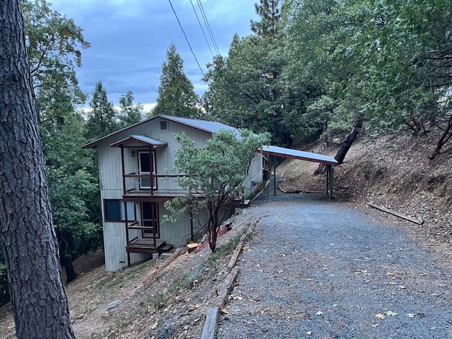 Building Photo - Beautiful Home in the Trees!!!  New Paint ...