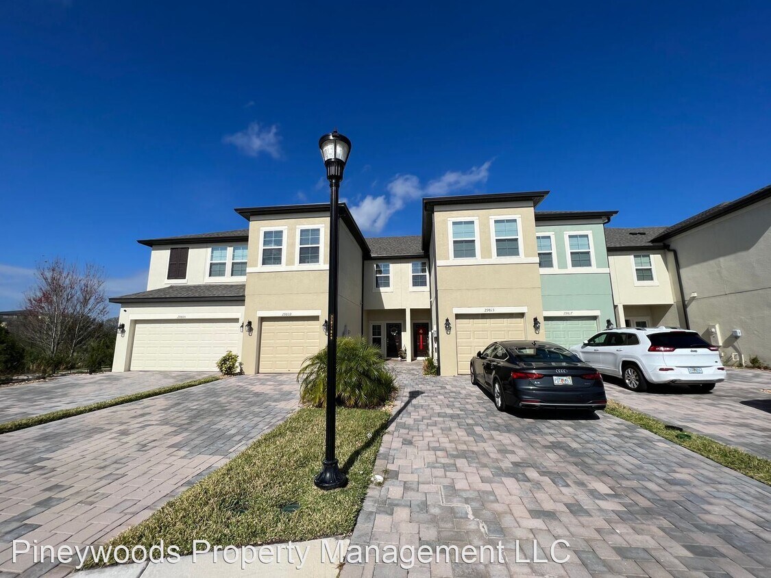 29813 Southwell Ln, Wesley Chapel, FL 33543 House Rental in Wesley