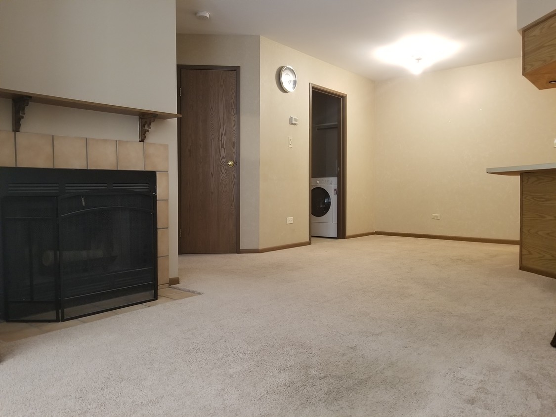 wood burning fireplace - 1407 E Wyndham Cir