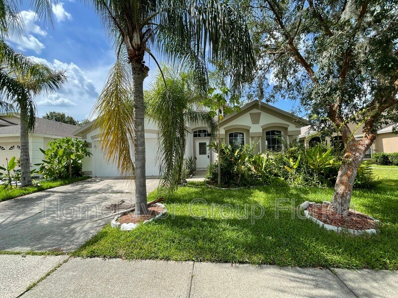 22707 Roderick Dr, Land O' Lakes, FL 34639 House Rental in Land O