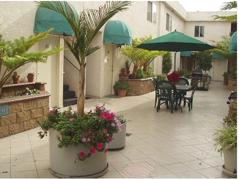 Courtyard - Lucky 24 Apartments