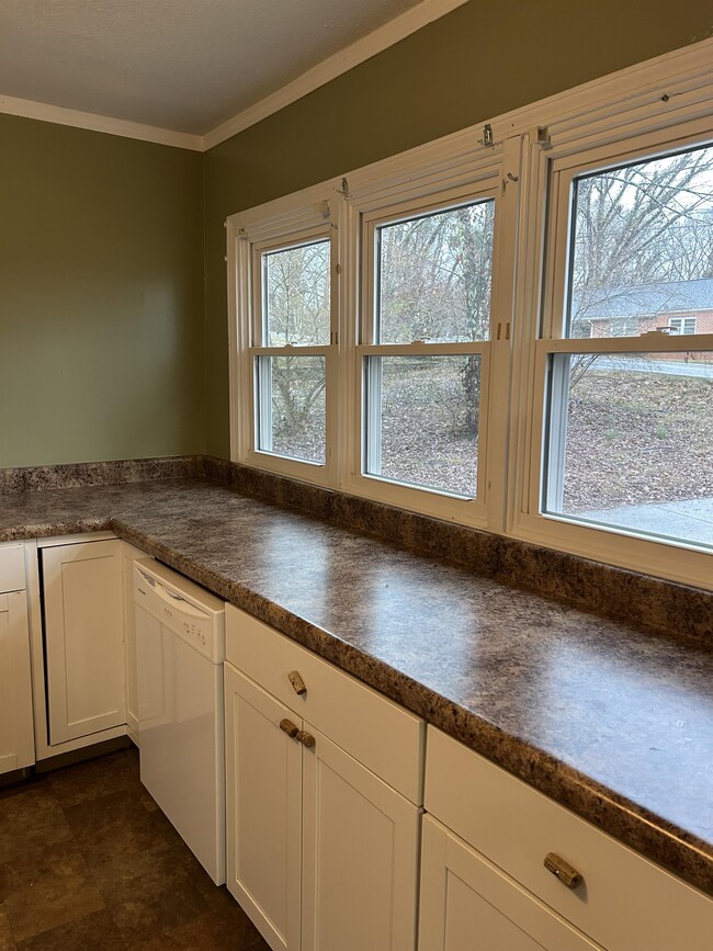 Building Photo - 1007 Leland Dr