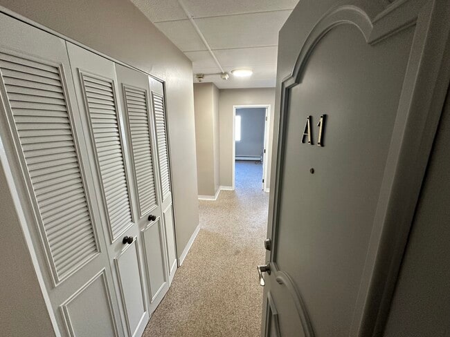 Building Photo - 43-51-51 Albion St Building Photo - 43-51-51 Albion St