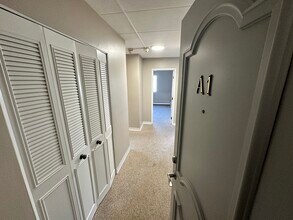 Building Photo - 43-51-51 Albion St Building Photo - 43-51-51 Albion St