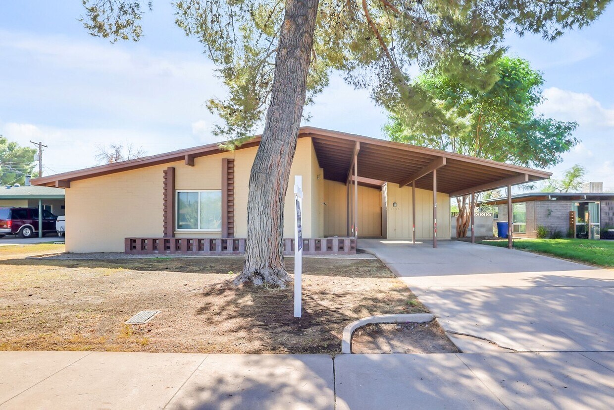 Primary Photo - Tempe Beauty