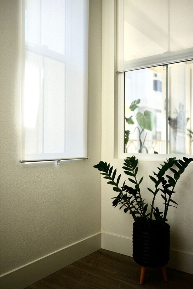 Building Photo - 37654 Cape Cod Rd