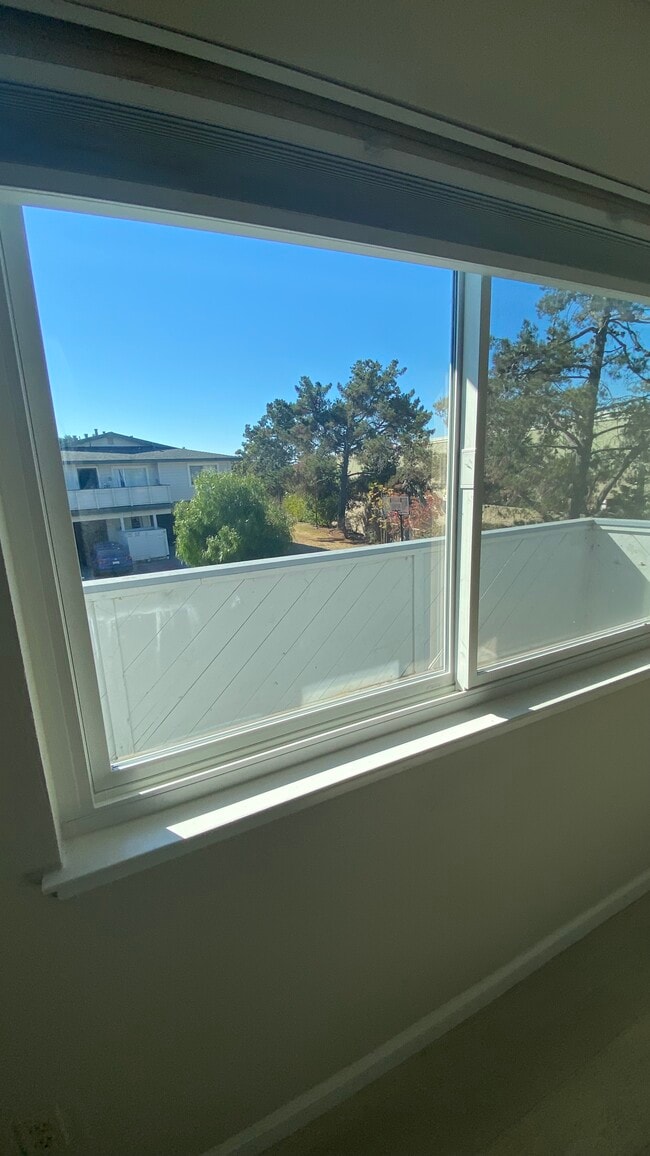 view outside living room winddow - 4205 Starboard Ct