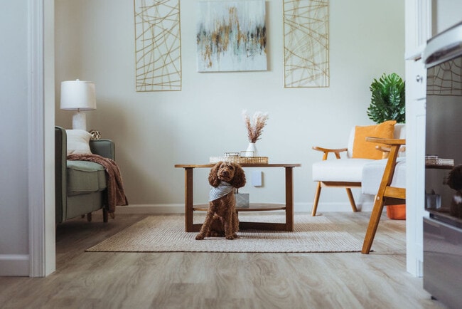 Building Photo - 308 Lamont St