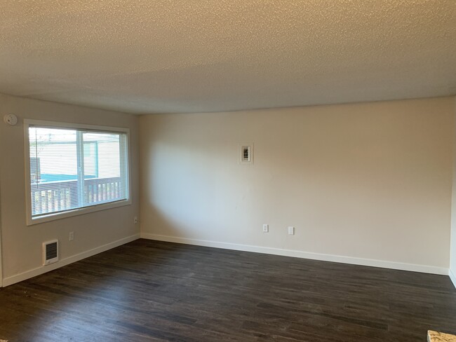 Living Room - 3819 12th Ave SE