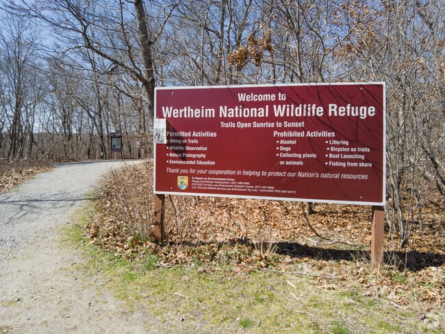 The Wertheim National Wildlife Refuge is located on the south shore of Long Island and is one of the undeveloped estuary systems on Long Island.