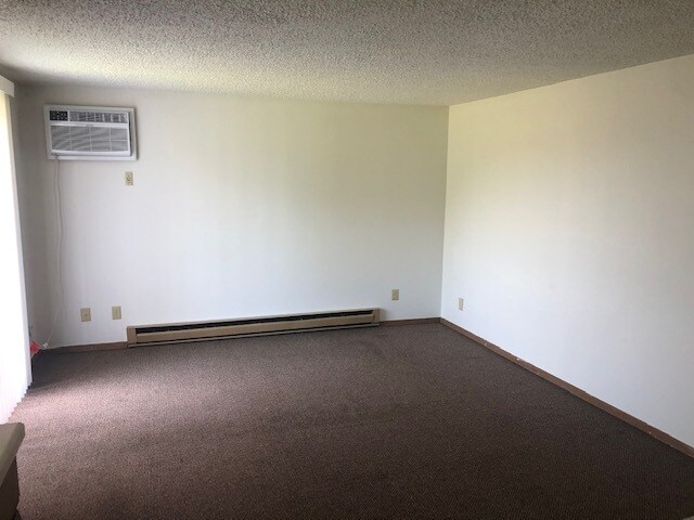 Living Room 2 - 115 Knoll Rd