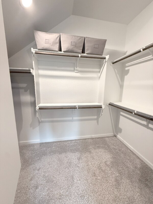 Building Photo - 224 Golden Shiner Dr