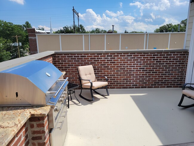 Roof Deck with BBQ - 21 Station Pl