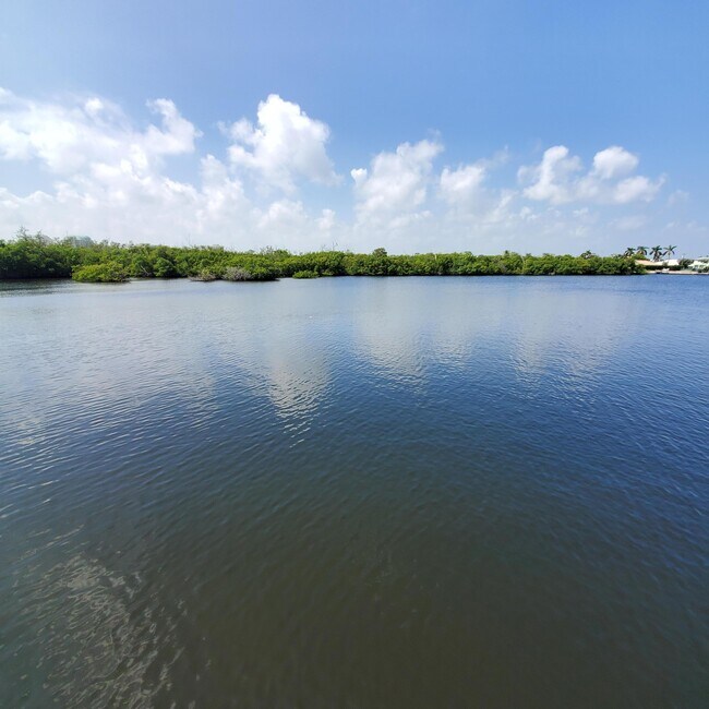 Foto del edificio - 6520 N Ocean Blvd