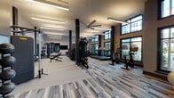 Located at 11201 Riverbeauty Loop in Louisville, Kentucky, this well-appointed fitness center offers a comprehensive workout environment designed with both functionality and aesthetics in mind. The space is characterized by soaring ceilings, large black-framed windows on multiple walls, and an open, airy layout that allows natural light to flood the interior throughout the day. Views of the surrounding outdoor amenity area, including what appears to be a pool terrace and landscaping, are visible from the cardio section, enhancing the workout experience.

The main floor is organized into distinct workout zones. The cardio area lines the windowed perimeter and is equipped with treadmills, ellipticals, stationary bikes, and rowing machines, all featuring individual digital displays. Moving inward, a dedicated strength training zone houses a full rack of dumbbells, adjustable benches, cable machines, and a variety of selectorized equipment. Bold dark columns punctuate the space, adding architectural definition while large ceiling fans and linear pendant lighting ensure consistent comfort and visibility.

A separate studio room provides a quieter space for stretching or group exercise, finished with full-wall mirrors, a wall-mounted television, and large windows. Patterned carpet tiles in neutral tones of grey and beige cover the floors throughout, contributing to a polished, contemporary atmosphere. The overall design is modern and thoughtfully organized to support a wide range of fitness activities.