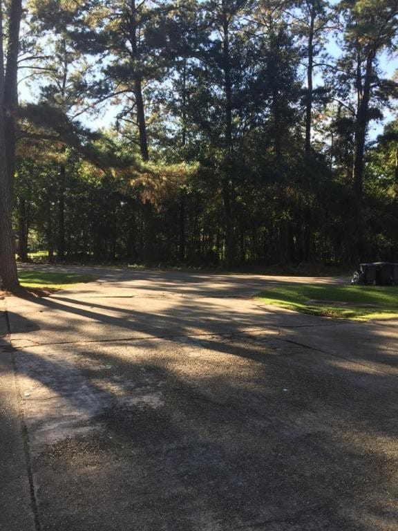 Building Photo - 2 Kay Lane #D, Hammond, LA 70401