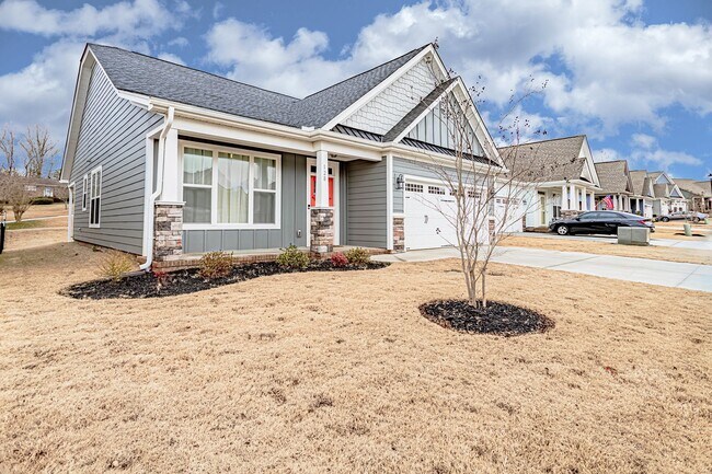 Building Photo - Price Improvement! Newer Home in Blue Ridg...