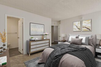 Interior Photo - Dorchester Apartments
