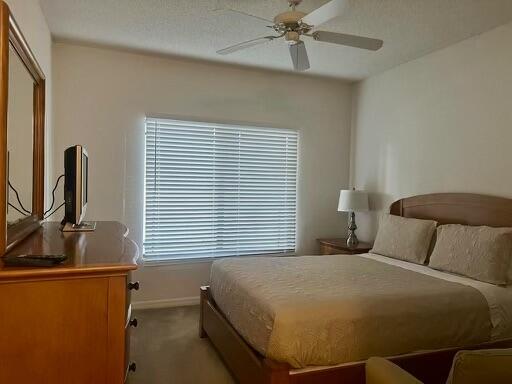 Building Photo - 2806 Veronia Dr