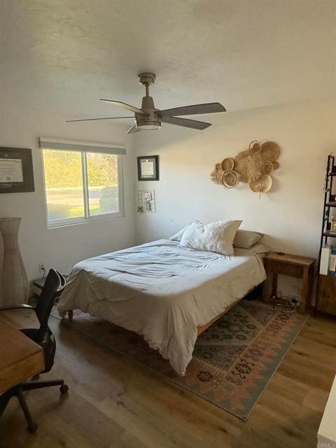 Building Photo - 7704 Caminito Tingo