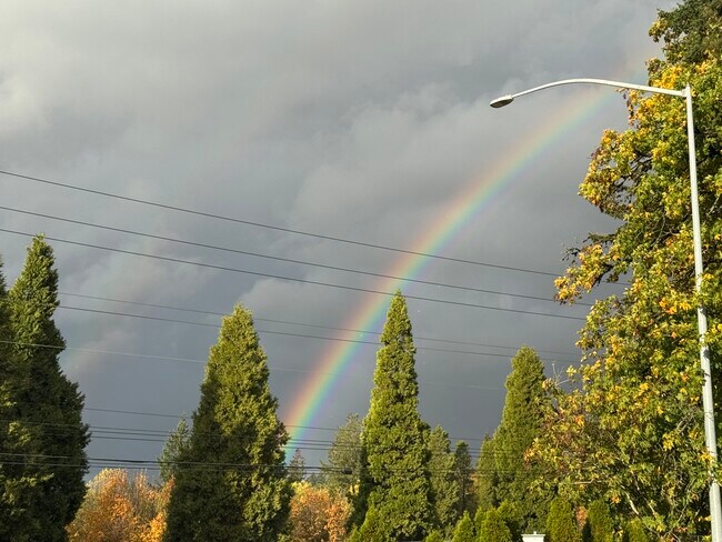 Foto del edificio - 11240 SW Barbur Blvd